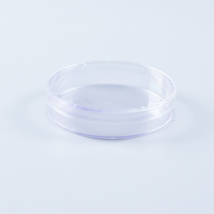 Round Petri Dish