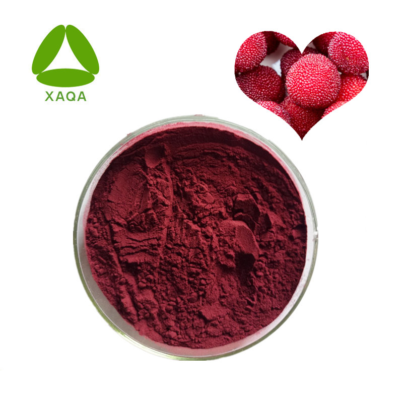 Myrica Rubra Waxberry Extract Red Baybery Powder