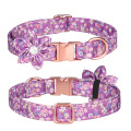 pet collar with print 4