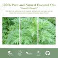 Preço natural orgânico 100% puro Artemisia Wormwood Óleo essencial