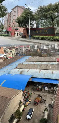 Mesin Pengolah Akar Lotus dan Kentang Manis Efisiensi Tinggi untuk Pertanian