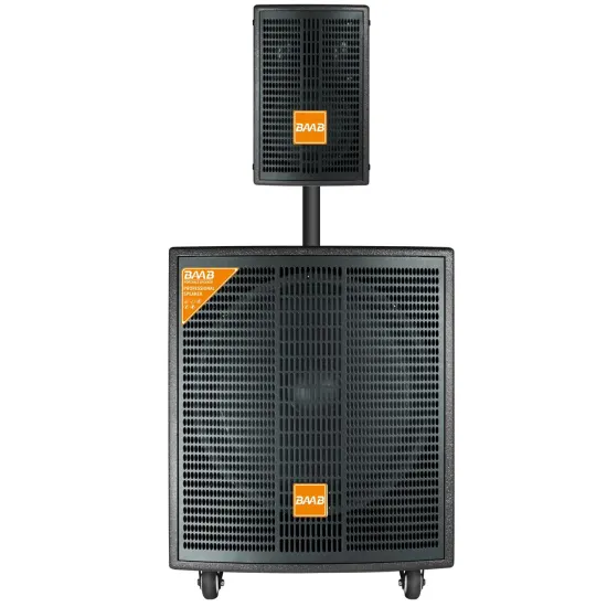 1000W Trolley Speaker - 15 Inch Portable PA System with Mic