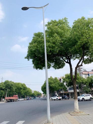 7m Powder Coating Street Lighting Pole