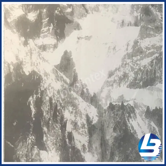 OBL21-851 Fashion fabric for down coat