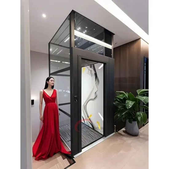 Hydraulic Home Lift Household Lift Villa Elevator