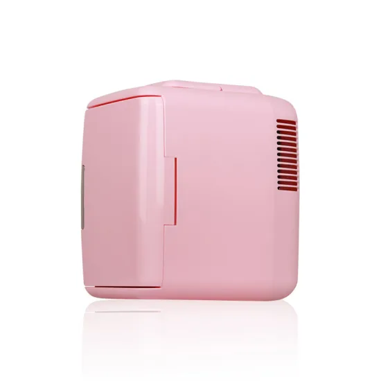 Custom Small Portable Cosmetic Beauty Makeup Refrigerator