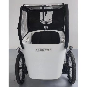 دراجة ثلاثية العجلات كهربائية مع محرك محور Bafang 36V 250W: مثالي لتسليم الطعام للبالغين والبضائع