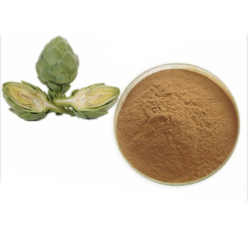 Wholesale artichoke extract powder