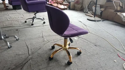 Beauty Salon Master Stool