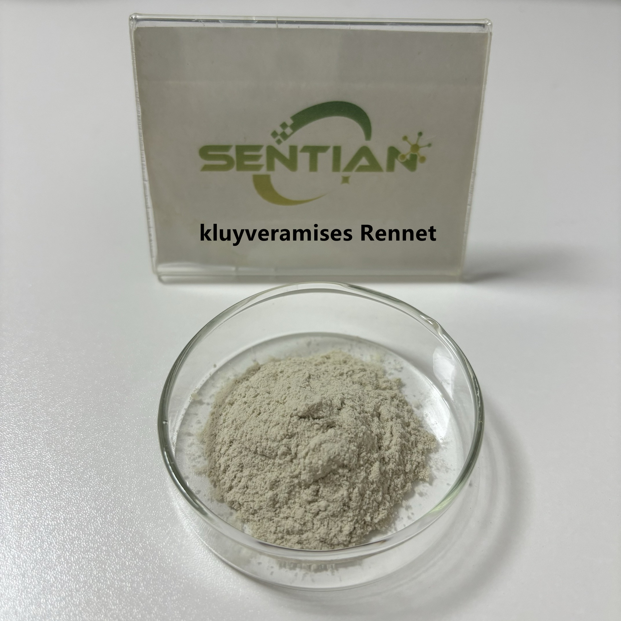 Microbial Rennet for cheese Kluyveromyces lactis rennet