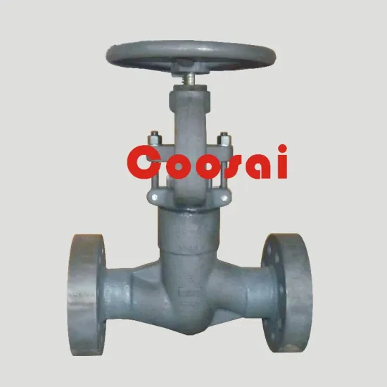 Forged globe valve
