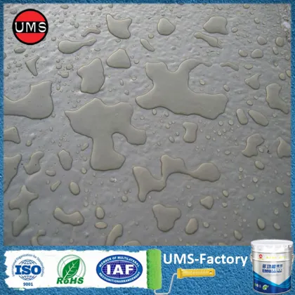 Roof waterproofing system shed paint