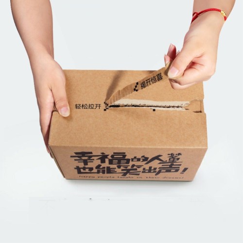ritsleting kotak karton dengan logo dicetak