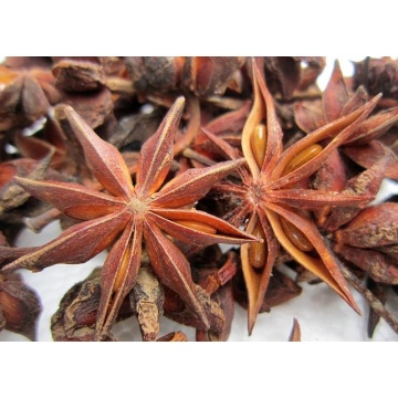 Illicium verum