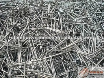 polished common nails