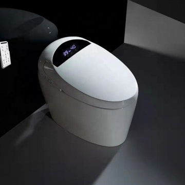 Floor-Mounted Intelligent Toilet Smart Commode
