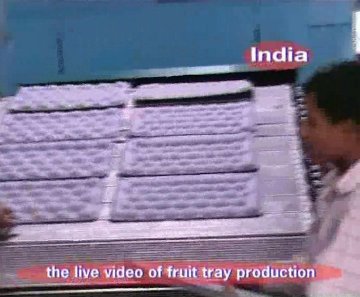 fruit tray molding machine