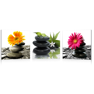Art Prints Wall Pictures of Flower