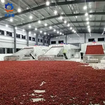 Industrial Electric Pilot Drying Dryer Machine