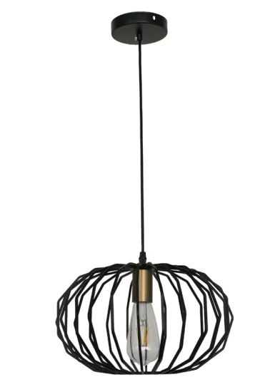 Hanging Lighting Fixture Iron oval Pendant Light