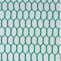 Hexagonal Wire Mesh Netting for Chicken PVC Coated