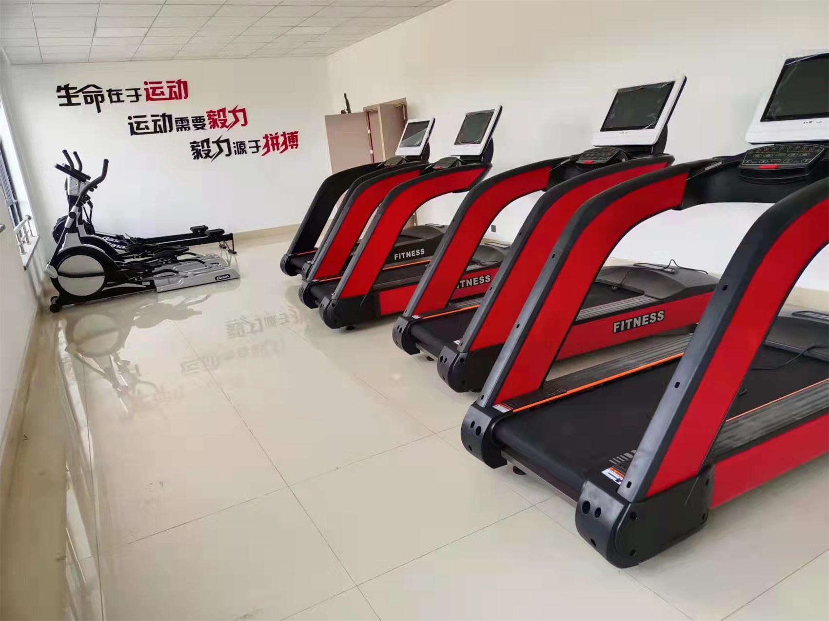 Gym Equipment Supplier (3)