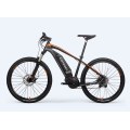 Bicicleta eléctrica personalizada de 750 vatios