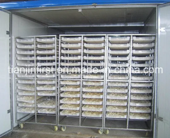 Sea Cucumber Drying Machine Sea Cucumber Dryer Sea Food Dryer