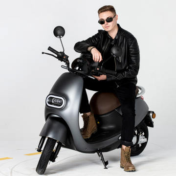 Lvneng EEC Approved 2-Wheel Electric Bike and Motorcycle Search Engine
