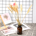 15pcs/Branch Autumn Wheat Bouquet Dried Plant DIY Wedding Party Home Decoration Supplies