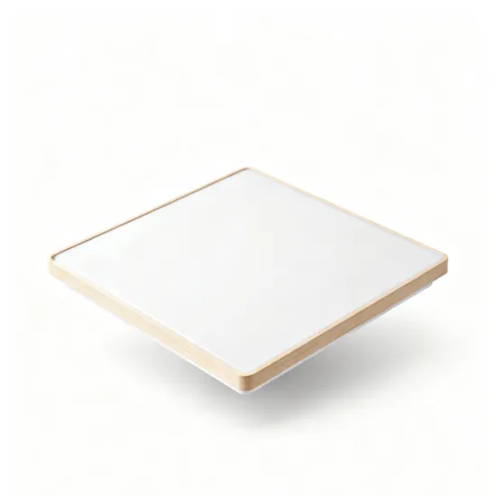 Custom LED Ceiling Light