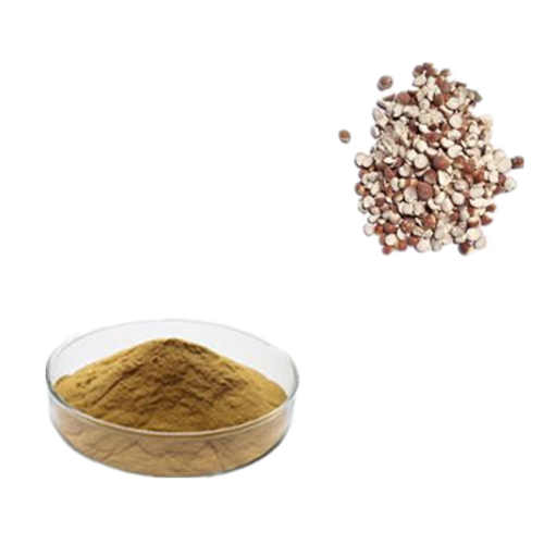 Gorgon Extract with Bulk Price