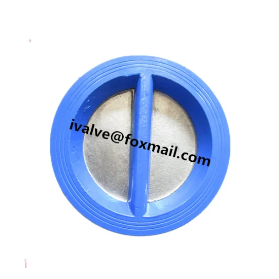Cast Iron Butterfly Check Valve
