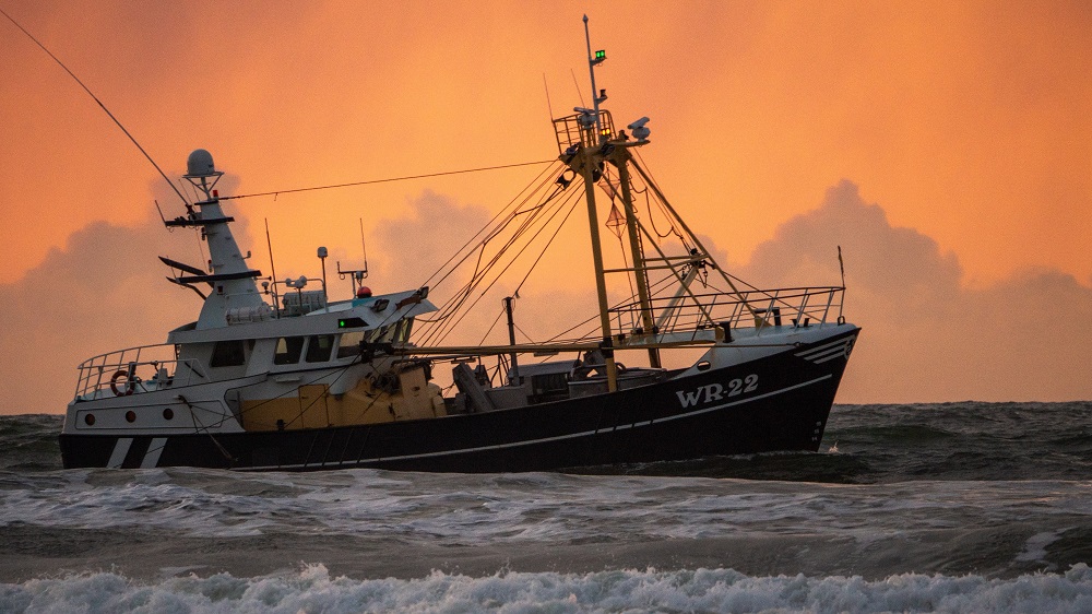 Conserto e manutenção de barcos de pesca experientes