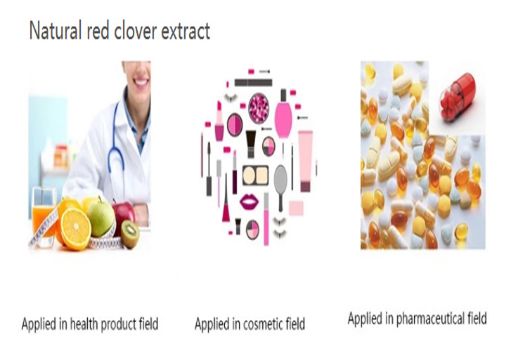 Application Of Red Clover Extract Powder