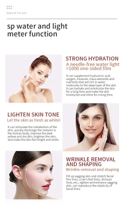 2025 Multi-functional Home Beauty Instruments: Skin Care Tools & Skin Ability Activator