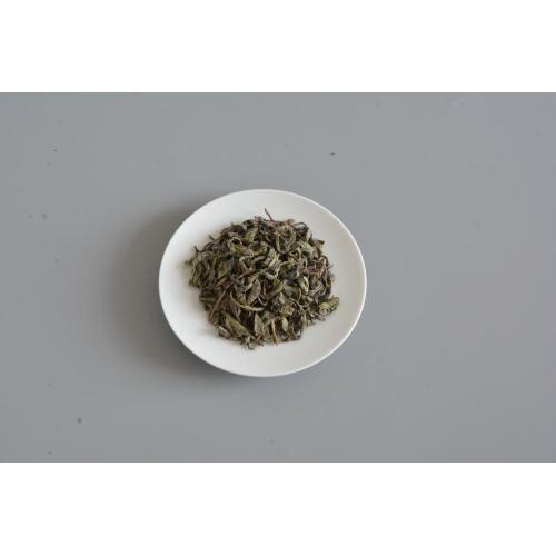 Organic Health Good Quality Chinese Green Op Tea