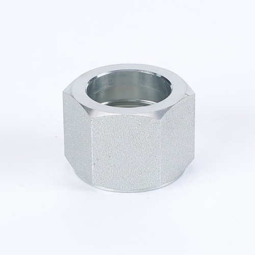 Nuts Cap Nuts Pipe Fittings Stainless Steel Hexagon Nut Supplier