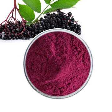 Elderberry Fruit Extract Anthocyanidins 25%