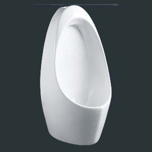 Ceramic Sanitary Ware Wall Hung Urinal (TT507)