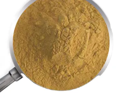 coffee bean extract for weight loss coffee bean