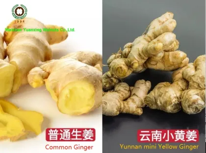 Chinese Dried Ginger whole