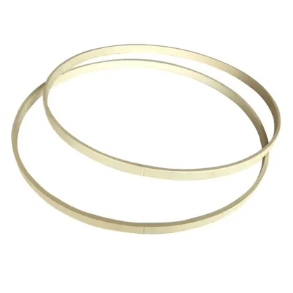 PEEK Oil Seal Peek Sealing Rings