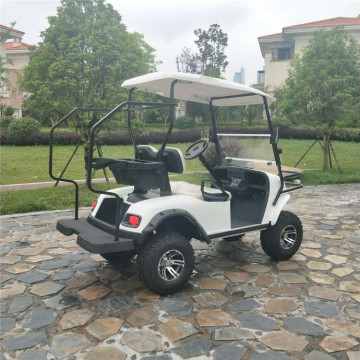 2 tempat duduk 4WD elektrik Road Golf Cart