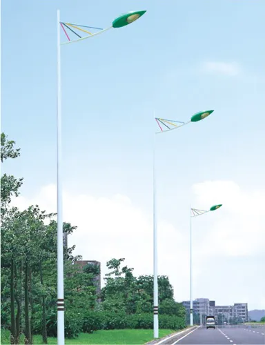 Hot Dip Galvanized Powder Coating Street Lighting