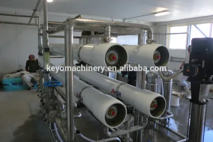 Whey concentration system