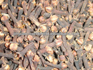 Spices Dried Clove Stem