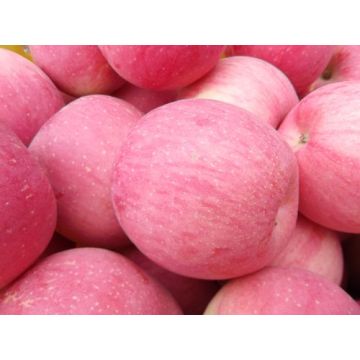 Adjustable Steel Electric Medical Examination Couch, Medical Exam Beds (als-ex121b)0001