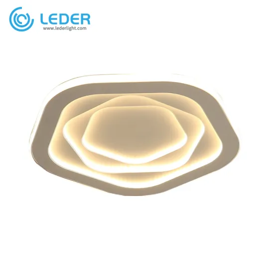 LEDER Best Decorative Ceiling Lamps
