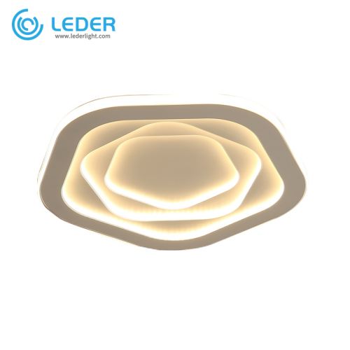 LEDER最高の装飾的な天井ランプ